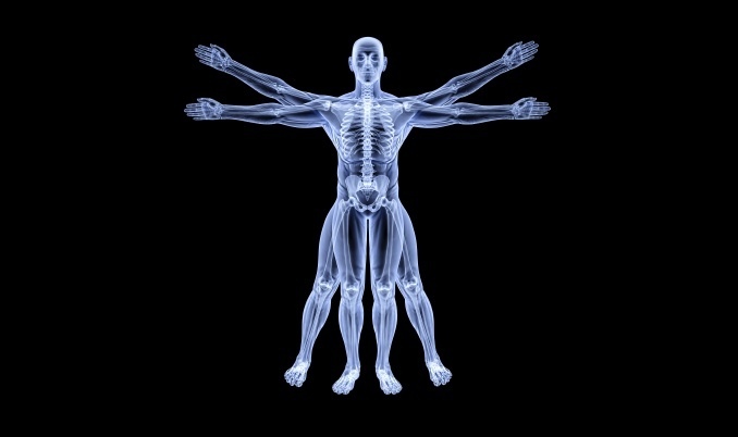 anatomy-scholarships