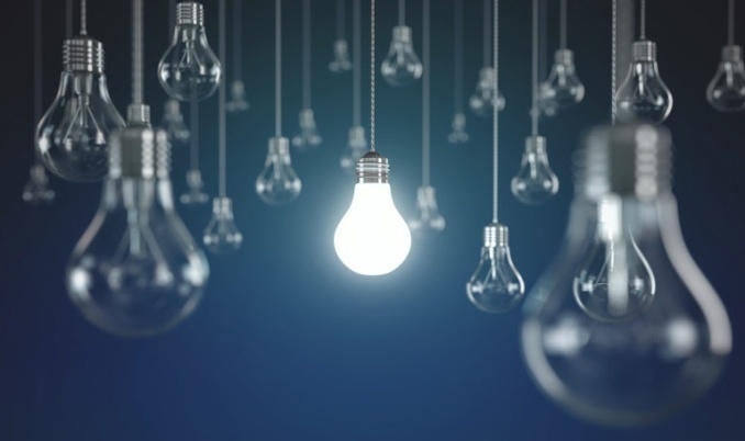 bulbs